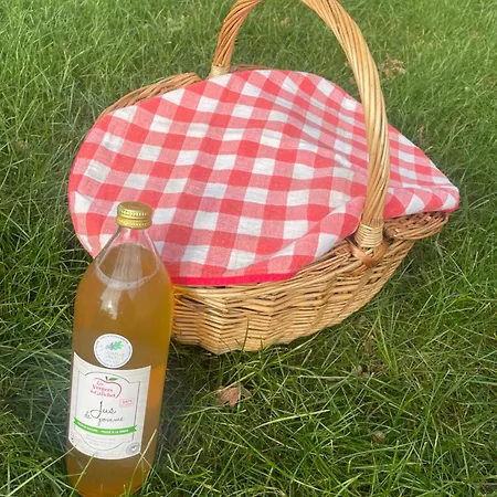 La Dans Les Arbres - Les Pieds Dans Le Pre *