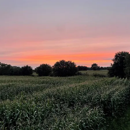 La Dans Les Arbres - Les Pieds Dans Le Pre * Les Landes-Genusson
