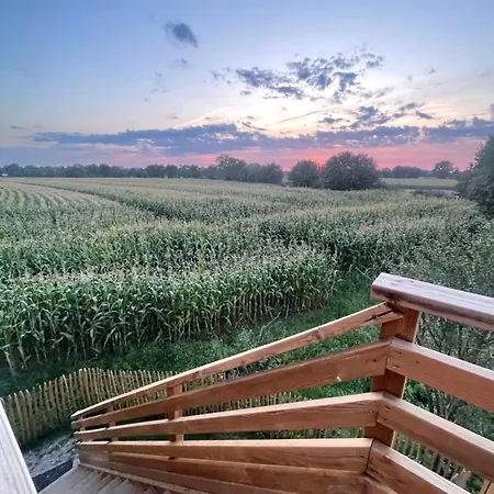 La Dans Les Arbres - Les Pieds Dans Le Pre