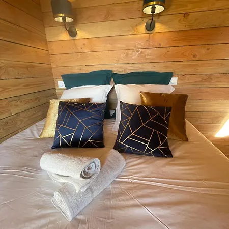 La Dans Les Arbres - Les Pieds Dans Le Pre *