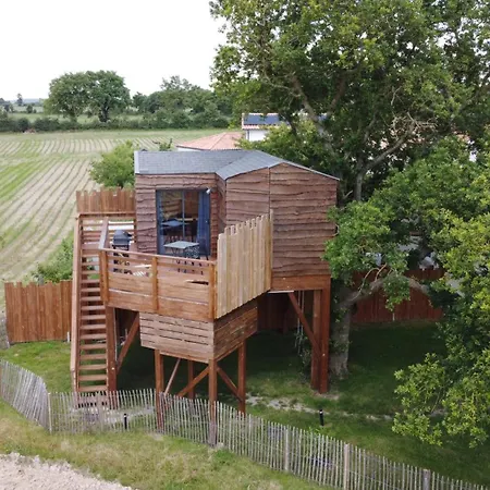La Dans Les Arbres - Les Pieds Dans Le Pré Chalet *