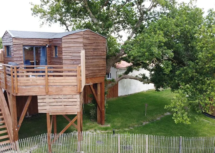 La Dans Les Arbres - Les Pieds Dans Le Pre Alpstuga