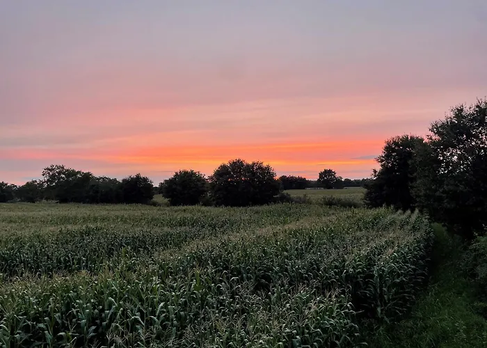 La Dans Les Arbres - Les Pieds Dans Le Pre * Les Landes-Genusson