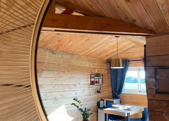 La Dans Les Arbres - Les Pieds Dans Le Pre