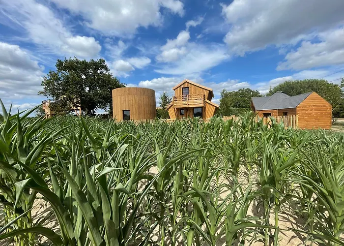 La Dans Les Arbres - Les Pieds Dans Le Pre *